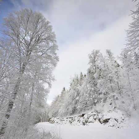 Gite Face Au Vercors Villa Marches Exterior photo