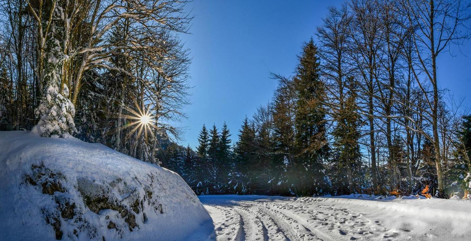 Gite Face Au Vercors Villa Marches Exterior photo